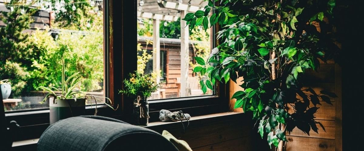 About Sanctum Wellness and Beauty